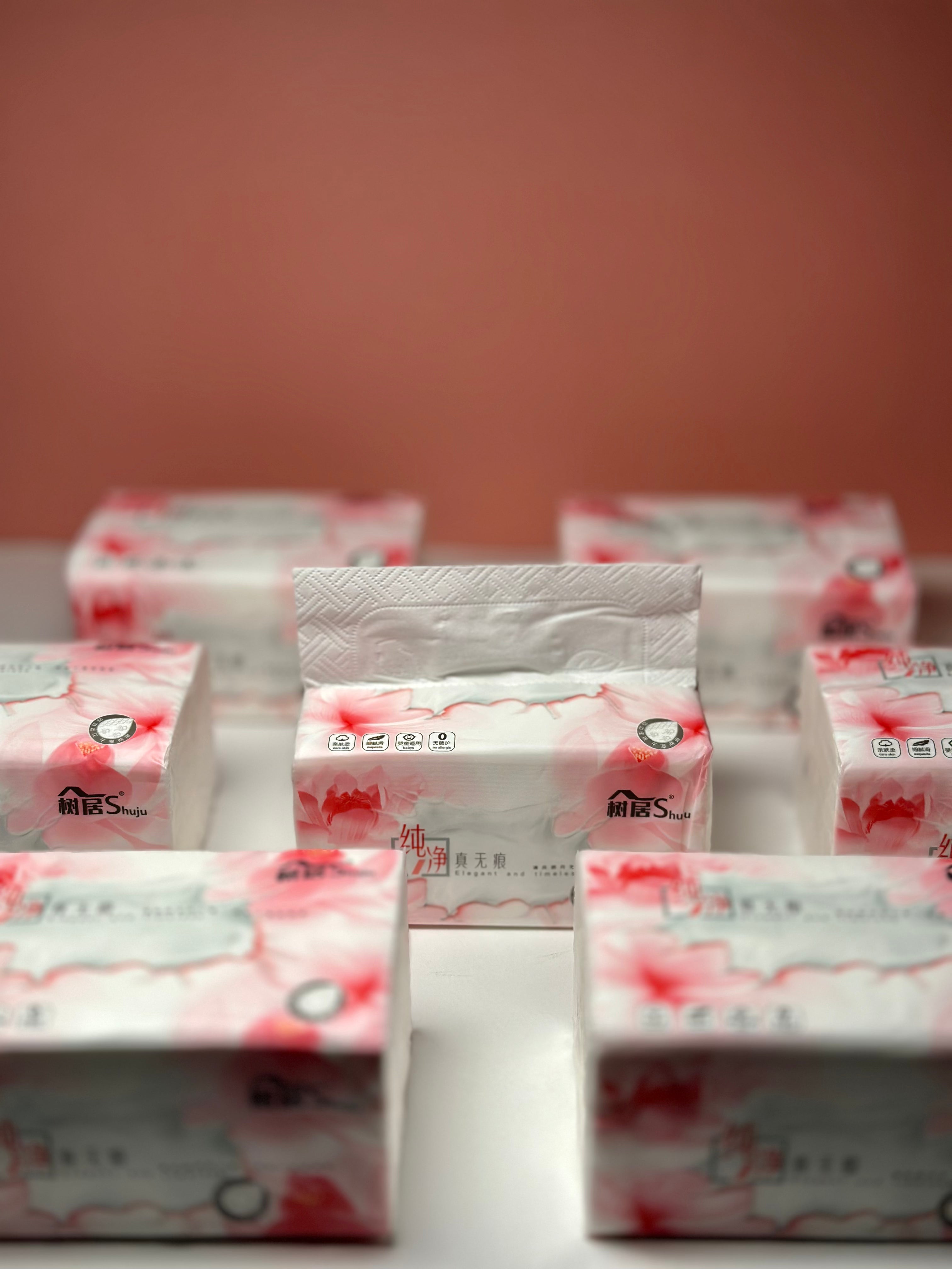 5 Ply Soft Tissues 10 Pcs (140x180 mm) 420 Sheets